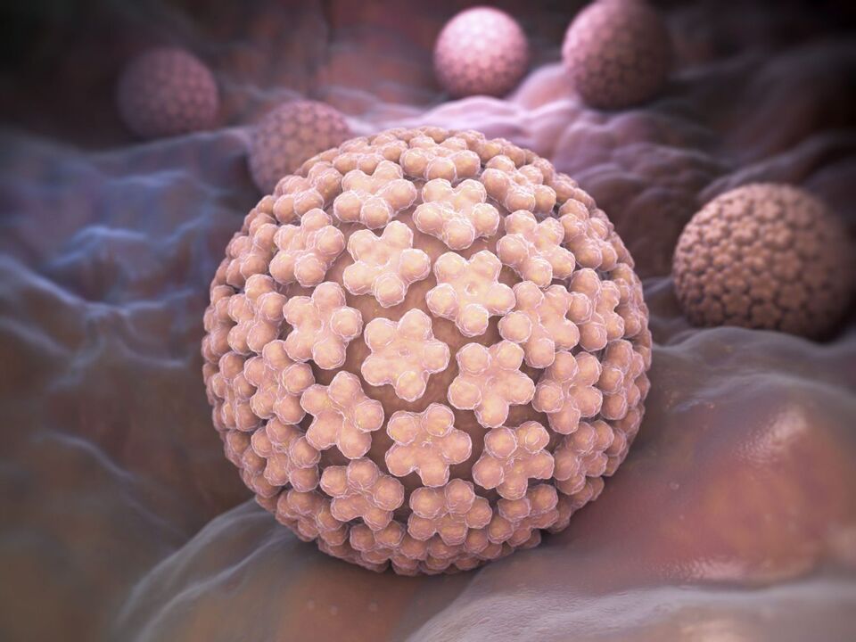 Human papillomavirus