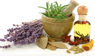 Folk remedies for the improvement of potency